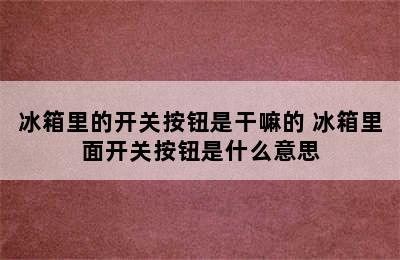 冰箱里的开关按钮是干嘛的 冰箱里面开关按钮是什么意思